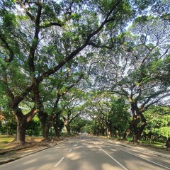You - Alex Condliffe, Lamb Hands cover