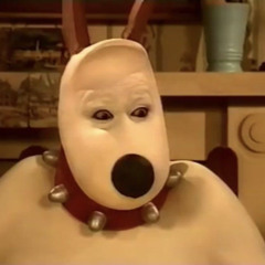 withered dogs