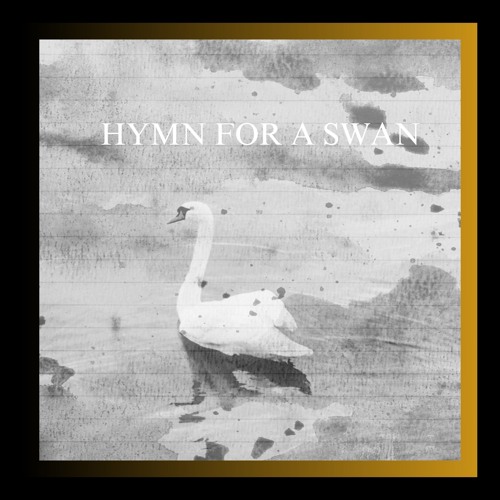 HYMN FOR A SWAN