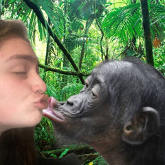 monkey sex