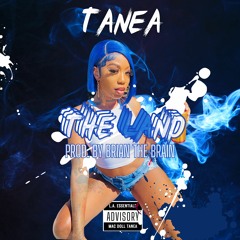 The LAnd (Open Verse) [Prod. by Brian The Brain]