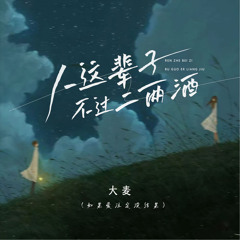 人这辈子不过二两酒 (如果爱注定没结果/DJEva版)