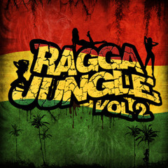Ragga Jungle vol. 2 - Drum n Bass Mix