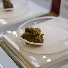 Top Washington, DC Dispensary for Premium Cannabis