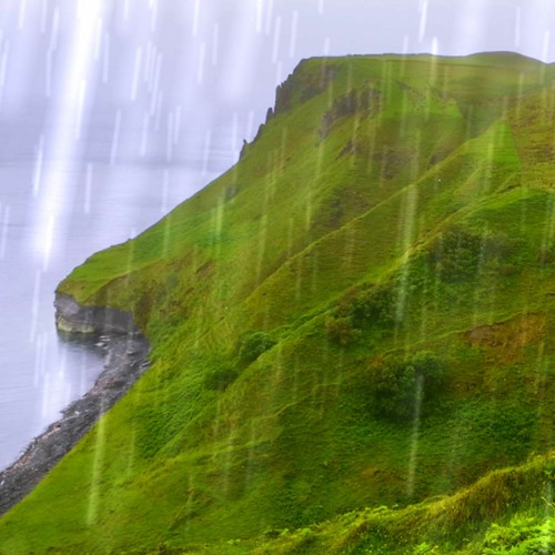 Ambient Rain Sounds For Sleep (75 Minutes)