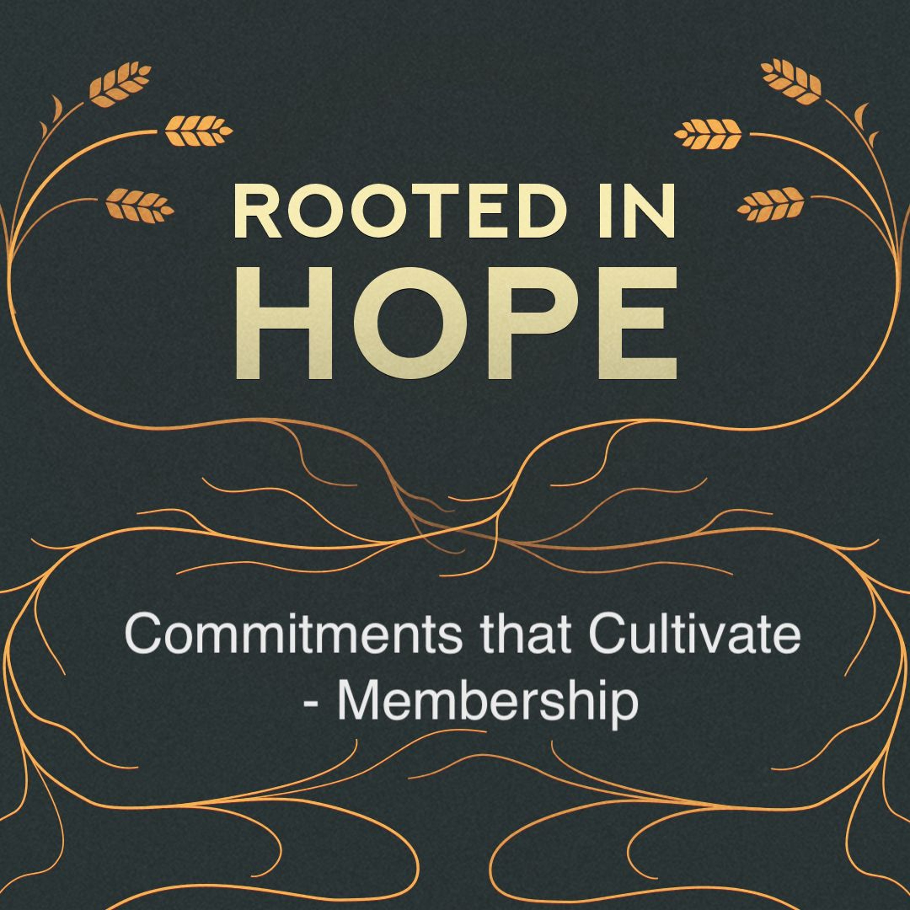 Nov 17/24 | Rooted In Hope | Commitments That Cultivate - Membership | ML episode artwork