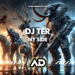 Dj Ter - My Side ACDIG3336 *Acceleration Digital*