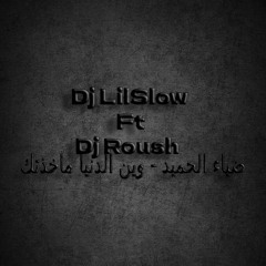 Dj LilSlow Ft Dj Roush - ضياء الحميد - وين الدنيا ماخذتك