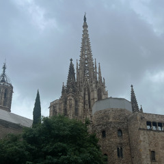 Barcelona Baby