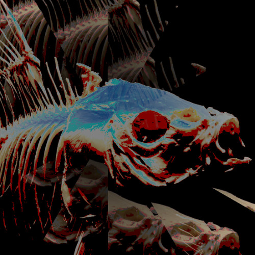 Nightfall with Skeleton (naviarhaiku617)