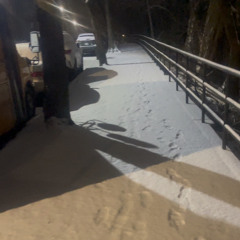 Case Closed prod stxrer