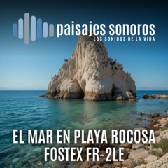 El Mar en Cala Santa Pola Fostex FR-2LE -  AT4022 NOS 30CMT