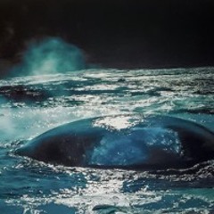 Symphony No.5 "Harmavelti" in Bb minor, Op.62 - I. Sorgsanna