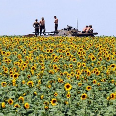 Last Dyin' Days Of The War (demo)