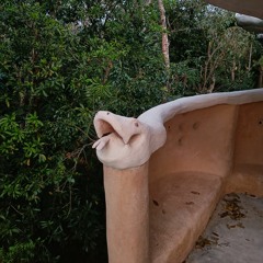 shamanic beats 🗿🦅✨