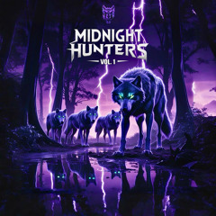 MIDNIGHT HUNTERS VOL. 1