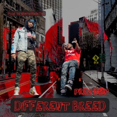 PReZ Rap - Different Breed (prod. By WMT)