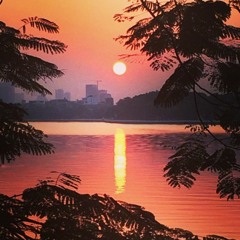 Sketch 1: A Sunlit Journey