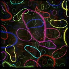 String Theory