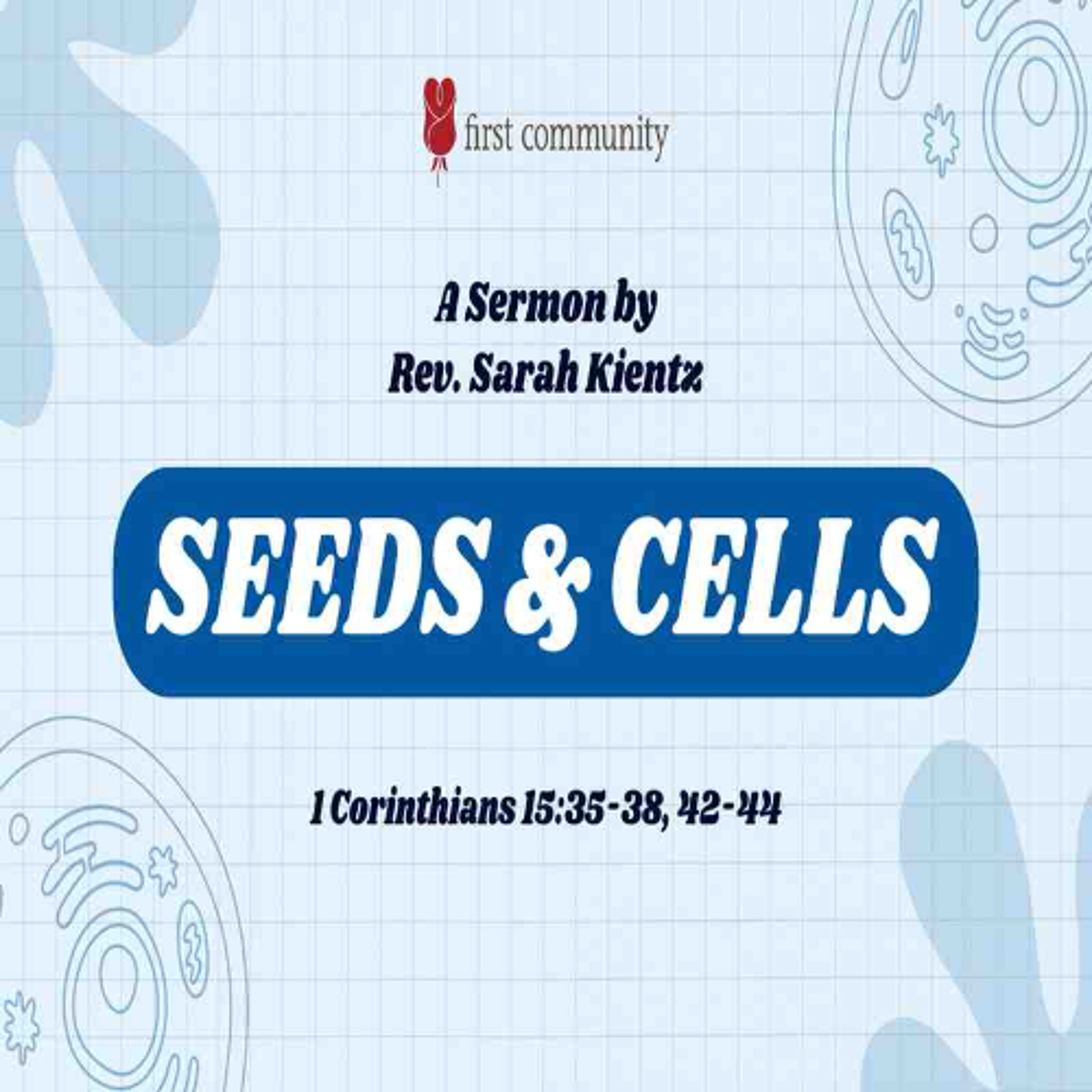 First Community Church, 02.23.25 Rev. Sarah Kientz- Sermon, Seeds & Cells episode artwork