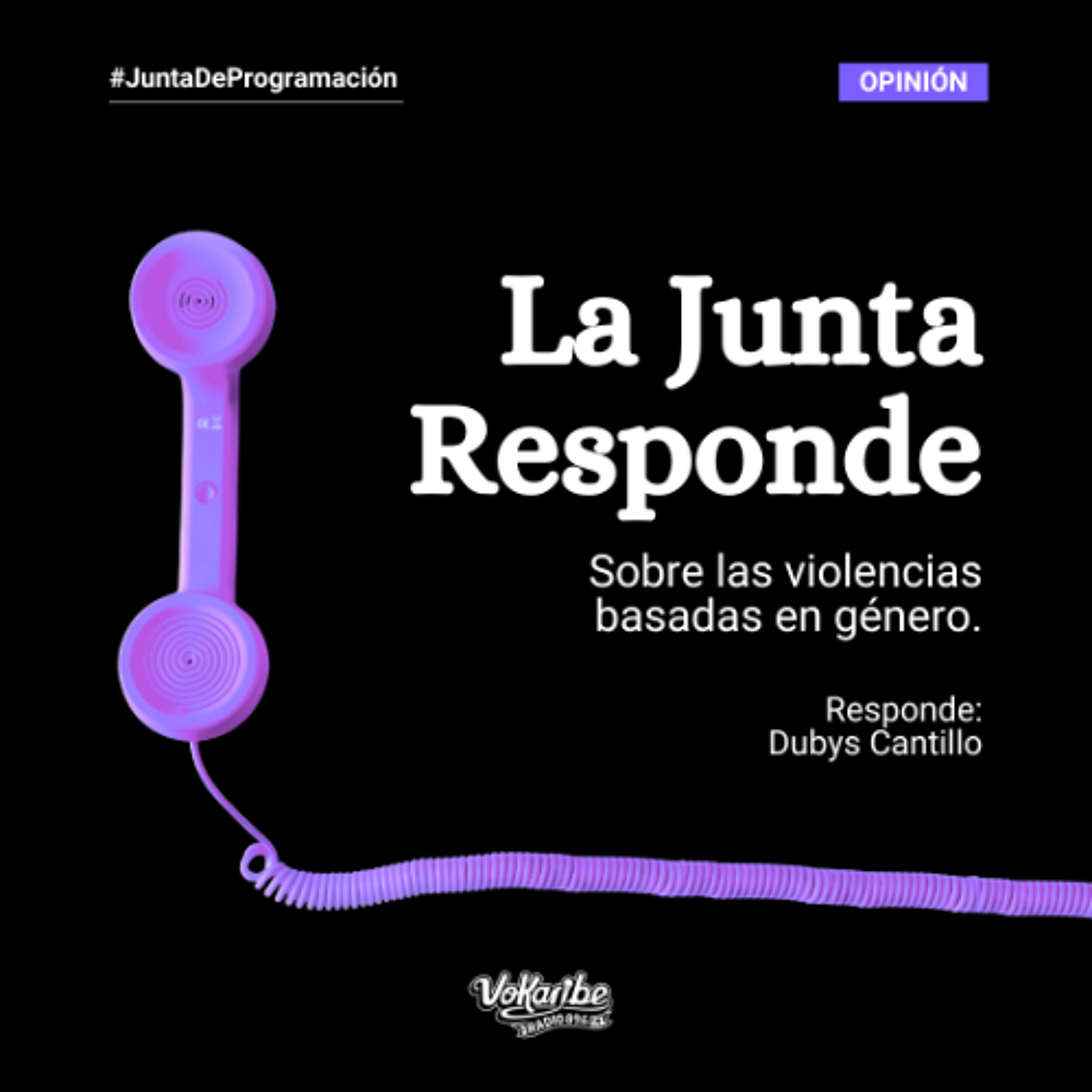 Portada de Vokaribe Radio