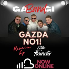 GAGI BEND - GAZDA NO1 (REMIX BY DJANEFLEXNETIX)