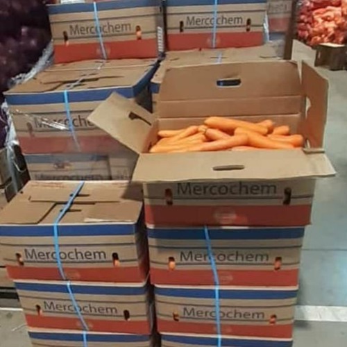 Stream Histórico la seca trajo zanahoria importada por productores con