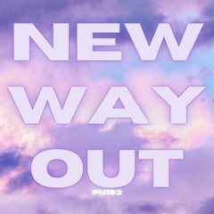 Pu1s3 - New Way Out