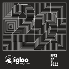 Igloo Magazine :: Best of 2022