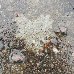 Matt Redman "One day"