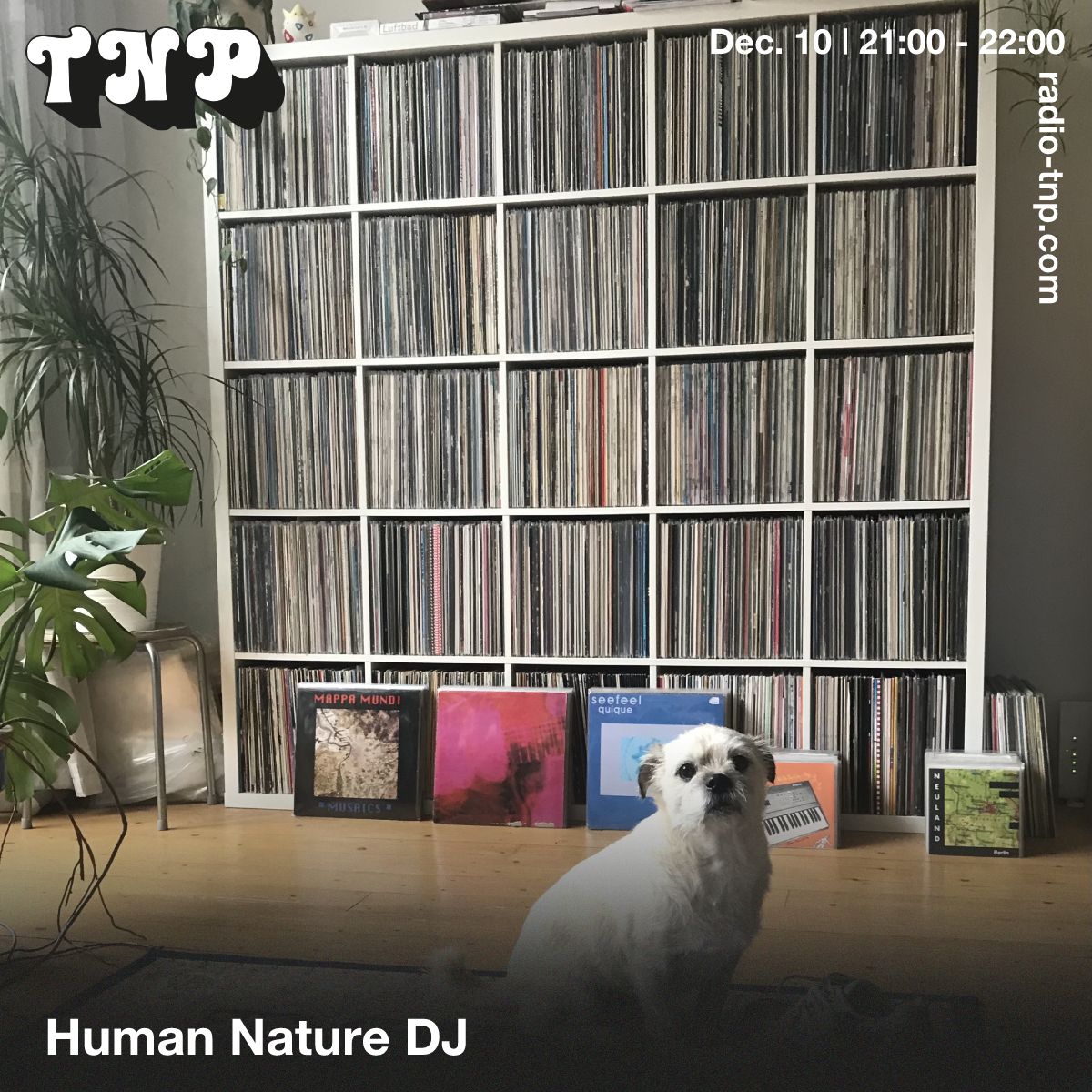 Human Nature DJ