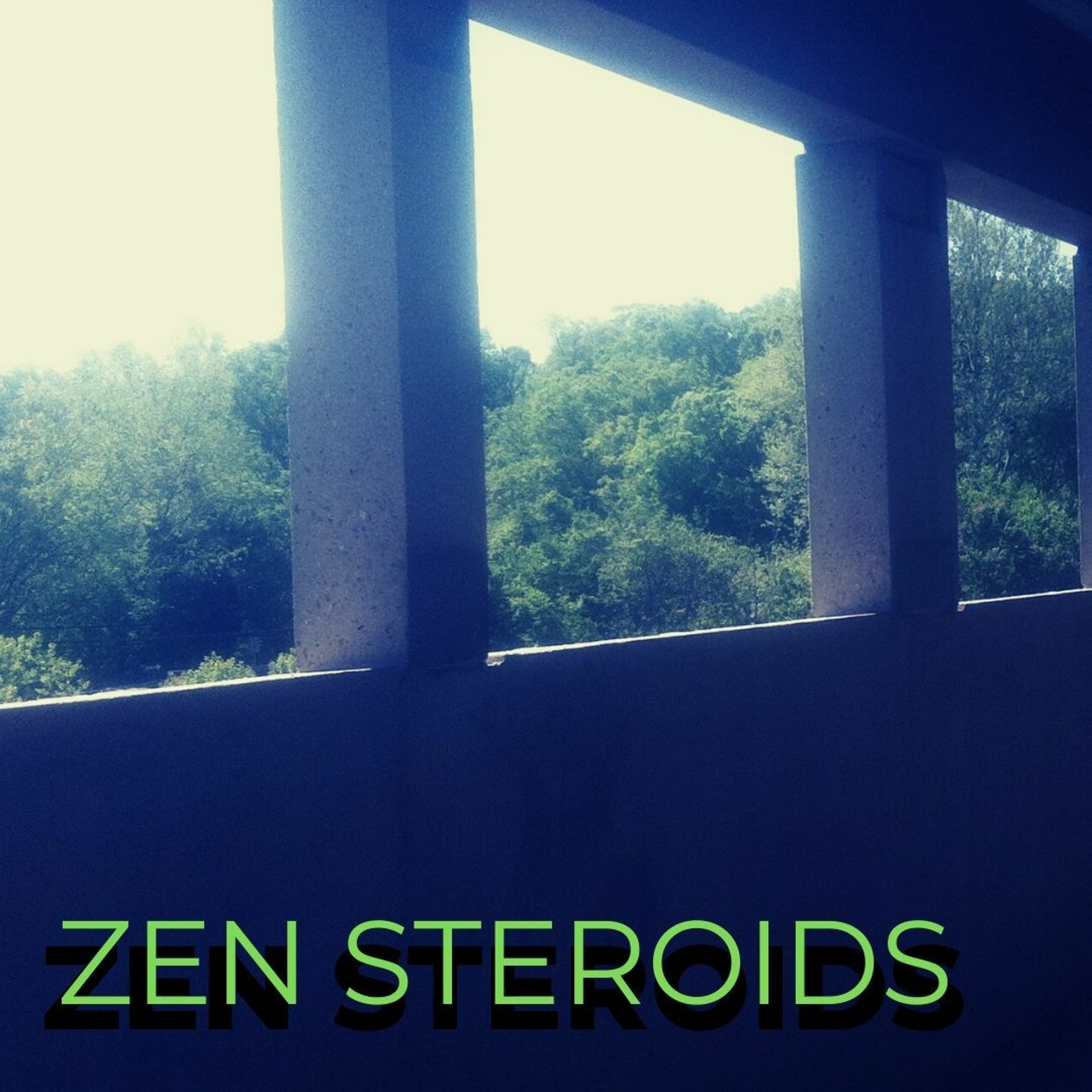 ZEN STEROIDS episode artwork