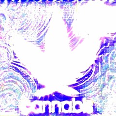 AudioShare + 3 More(1) Laila Tul Qadr