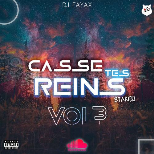 DJ FAYAX - CASSE TES REINS VOL.3