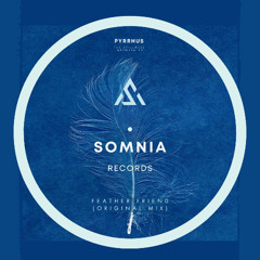 Pyrrhus - Feather friend - Original Mix (The stillness between EP) 12.12.25 Beatport Exclusive