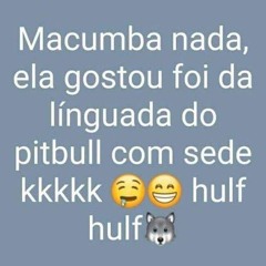 beclf.