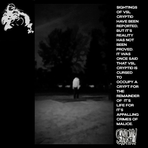 VSL CRYPTID