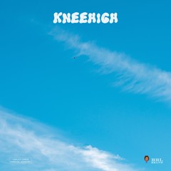 kneehigh