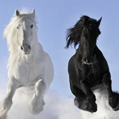 Chichovite Kone  [Ismylove remix]