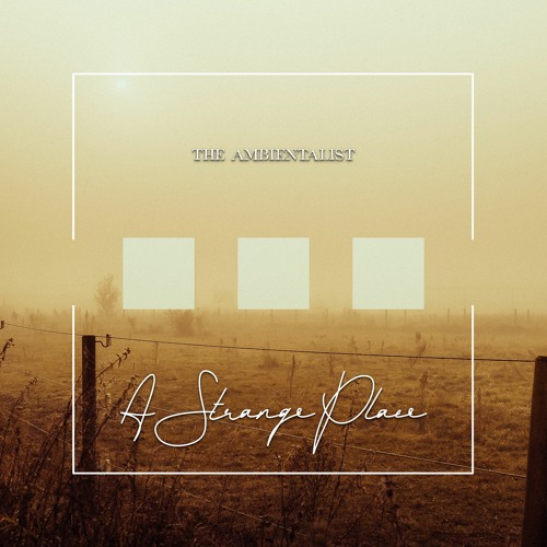 The Ambientalist - A Strange Place