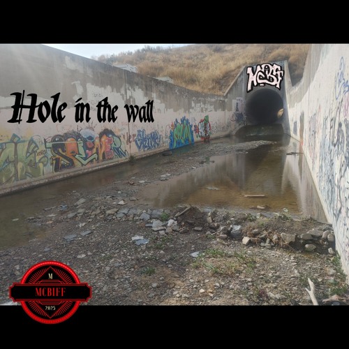 🕳Hole In The Wall🕳