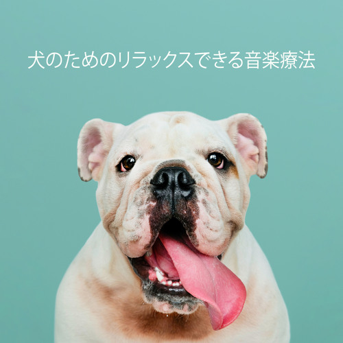 Stream 犬の耳のための平和な音楽 By Pet Music Academy Listen Online For Free On Soundcloud