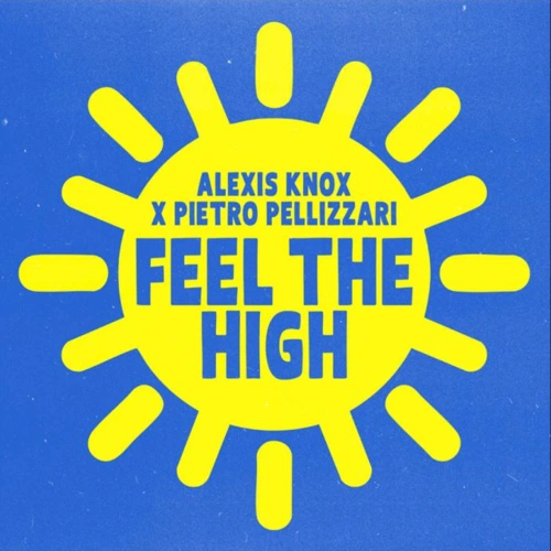 Artwork for the song Alexis Knox - Feel The High by Alexis Knox on Next Sound