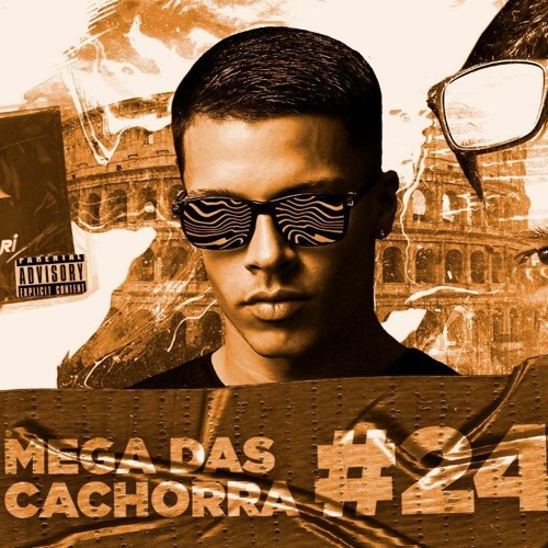 MEGA FUNK DAS CACHORRA #24 - DJ FRACARI (122Bpm)