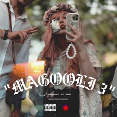 Magooli 3