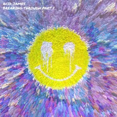 Acid James - It's Not A Seagull It's A Peacock (St Tropez)[NOIDEA.]