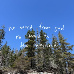 fly on the wall (oso oso cover)