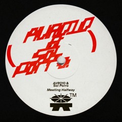 AVR010 & Sol Porro - Example