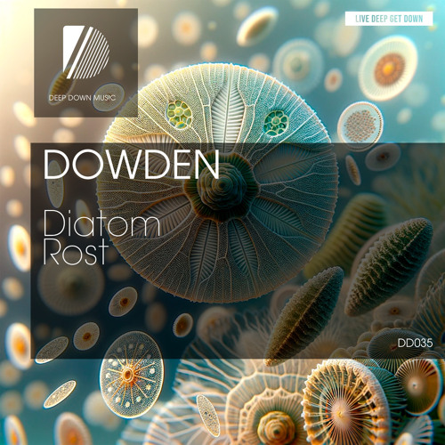 Stream Dowden - Rost (Original Mix) [Deep Down Music] by Dowden ...