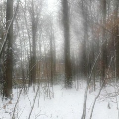 swallowed by bird in cage